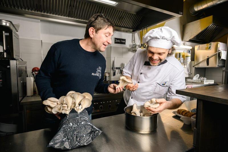 Gutschein für einen Pilz Workshop mit Koch Kurs