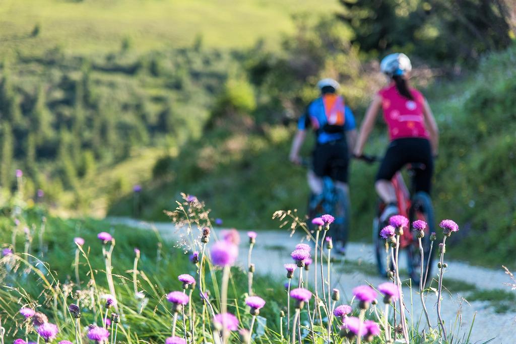 MTB Lavanttal