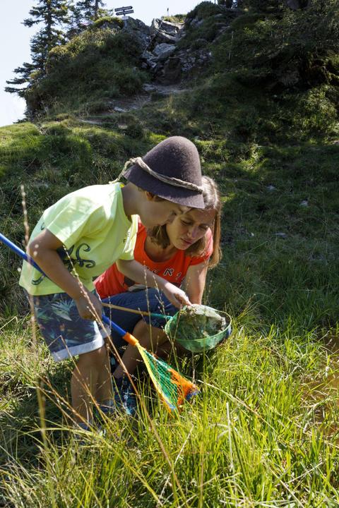 Wildschönauer Ache Sommer