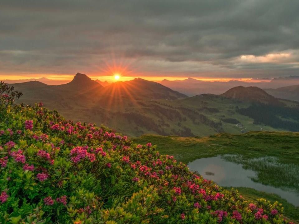 Aparthotel Garni Schönblick Damüls