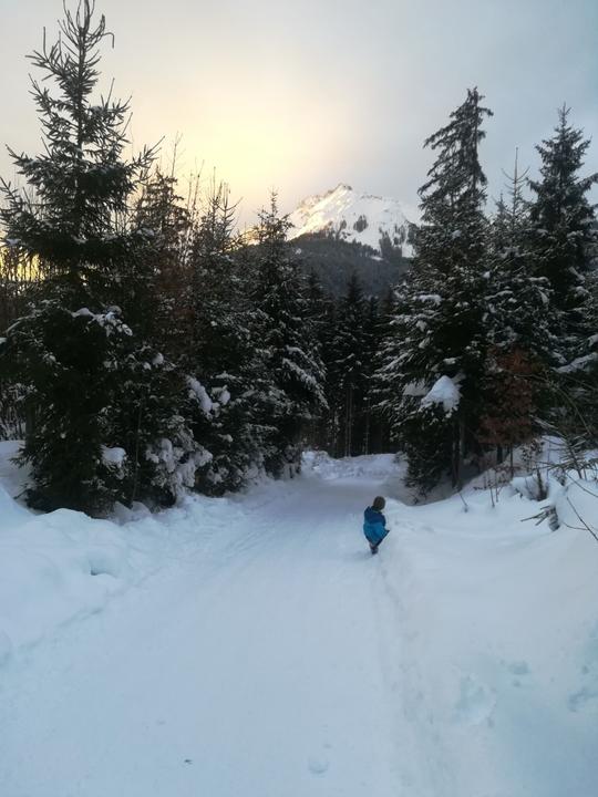 naturrodelbahn am mitterberg_img_43336491