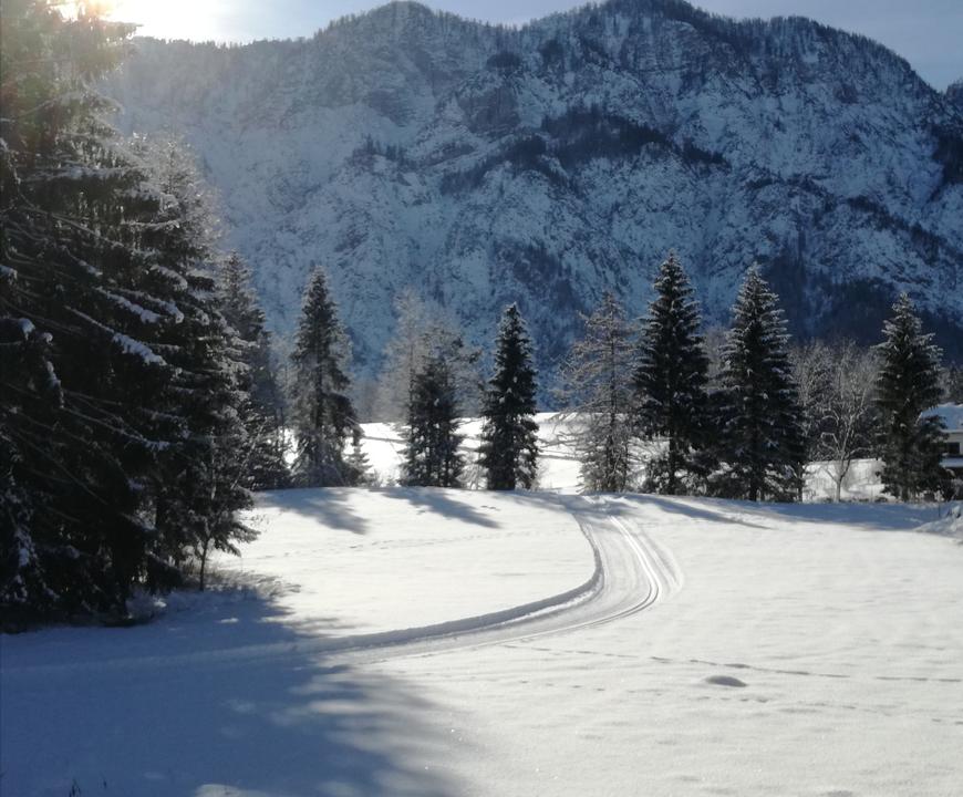 Winteridylle auf der Langlaufloipe in Bad Goisern