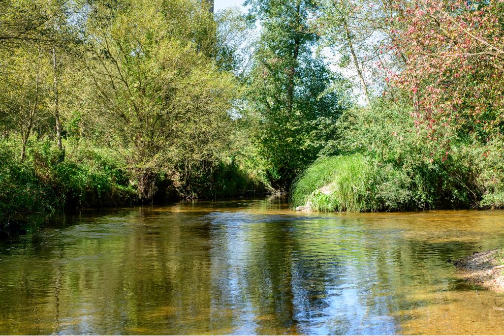 Wald_Luft_Baden