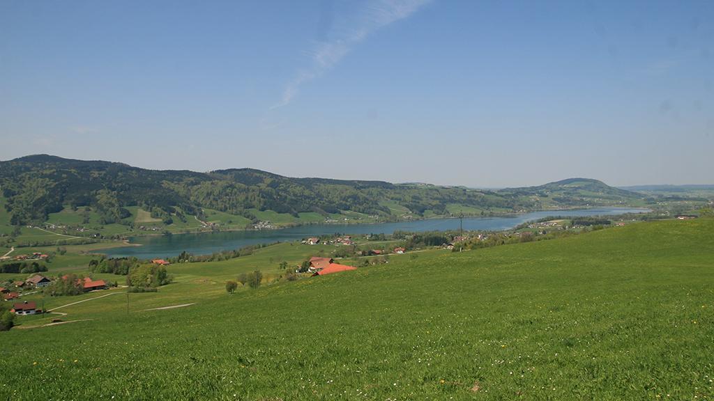 Ausblick über den Irrsee