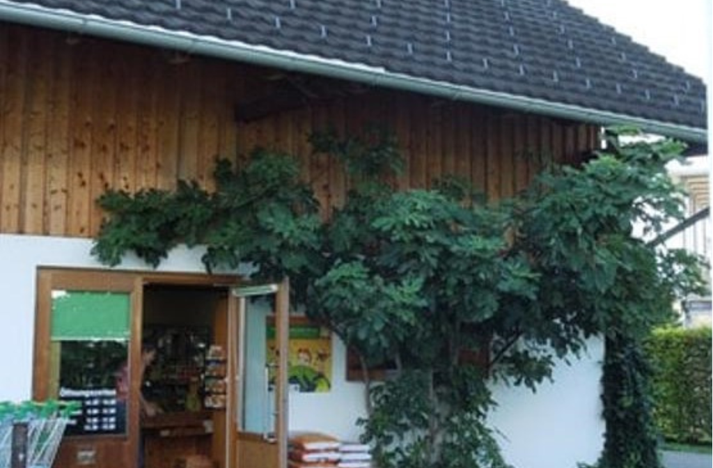 Rudnigbauer