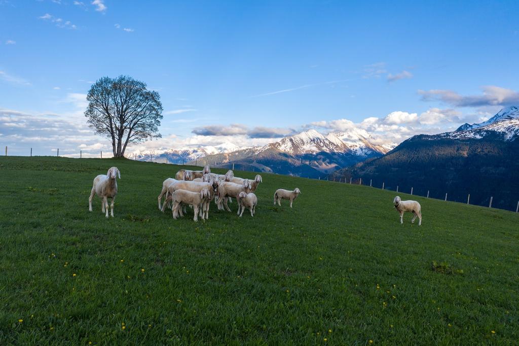 Hohe Tauern Panorama Trail - ET06 Pass Thurn