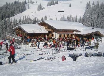 Söll_AuAlm_Wilder Kaiser