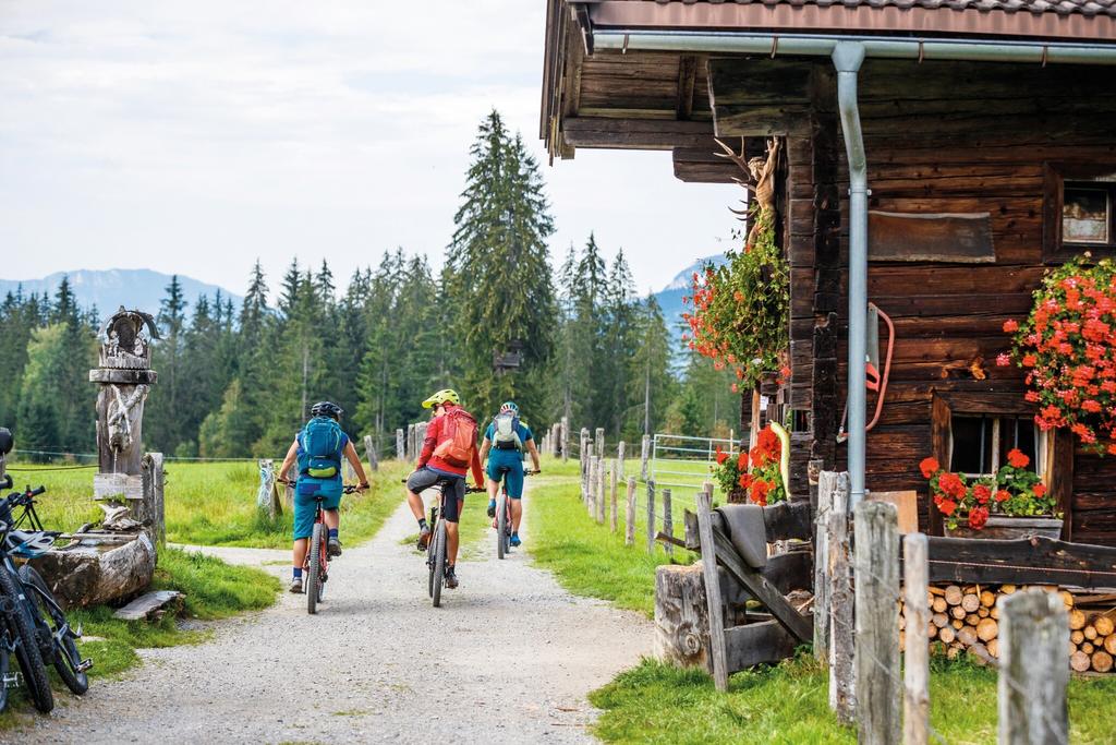 Käsealm (c) TVB Kitzbüheler Alpen-Brixental, Fotograf Erwein Haiden (1).jpg