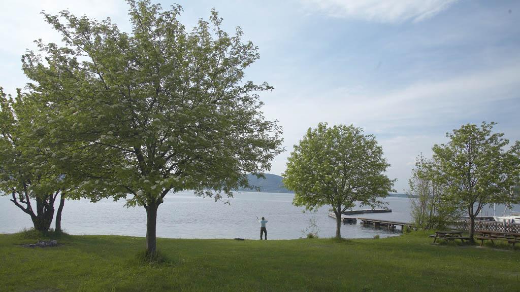 Naturbadeplatz Alexenau, Weyregg am Attersee