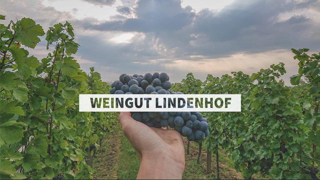 Weingut Lindenhof
