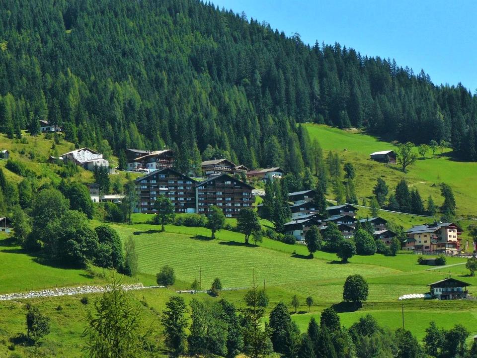 Sonnenhang im Sonnenschein