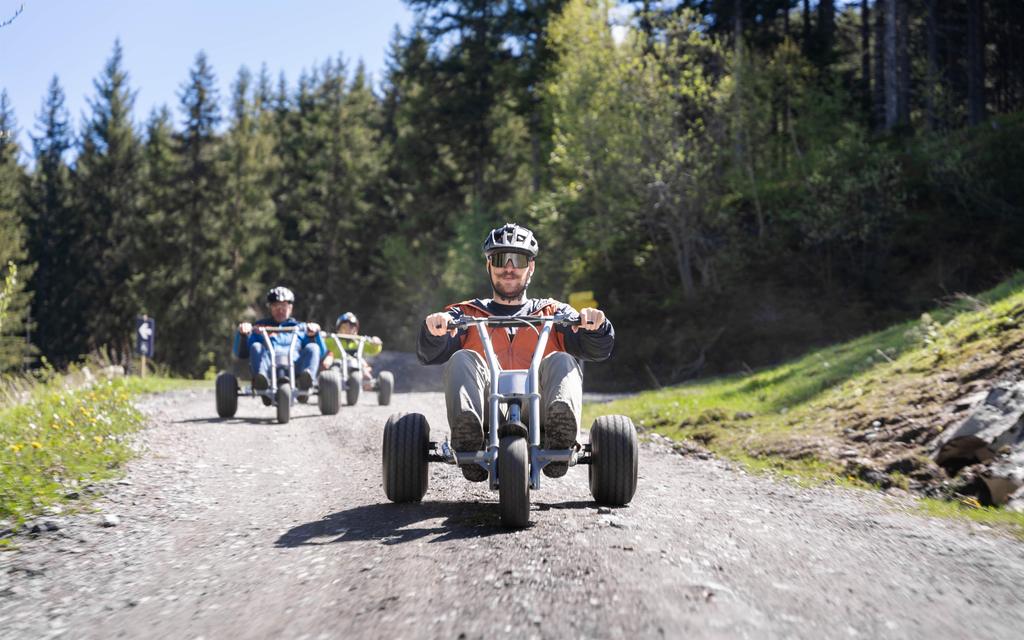Mountaincart Sommer