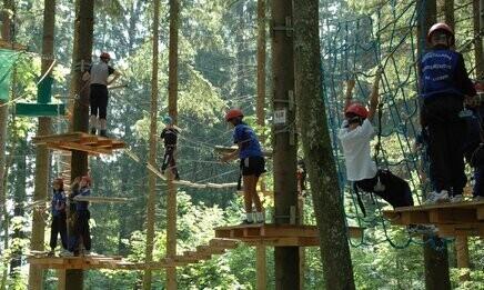 55347-abenteuerpark2_at.jpg