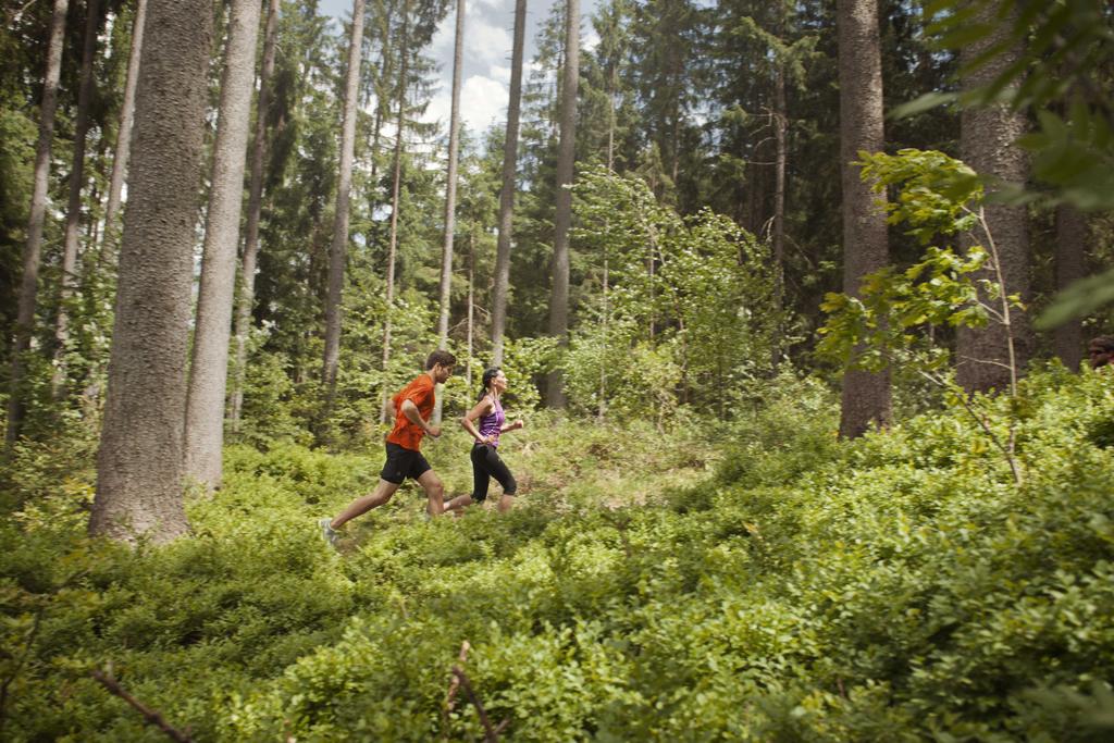 Idyllische Laufrunde im Wald