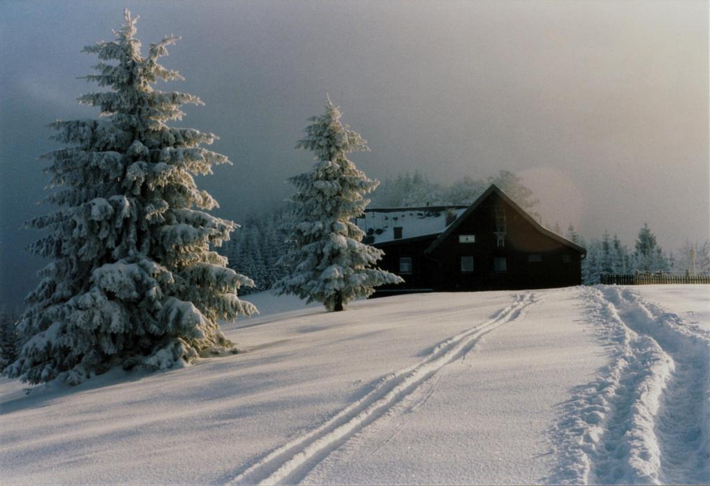 Winterwandern zur Grünburger Hütte