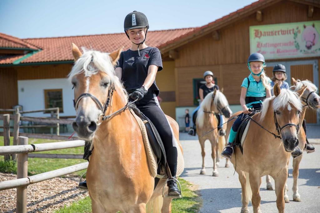 Kinder beim Ausreiten mit den Haflingerpferden