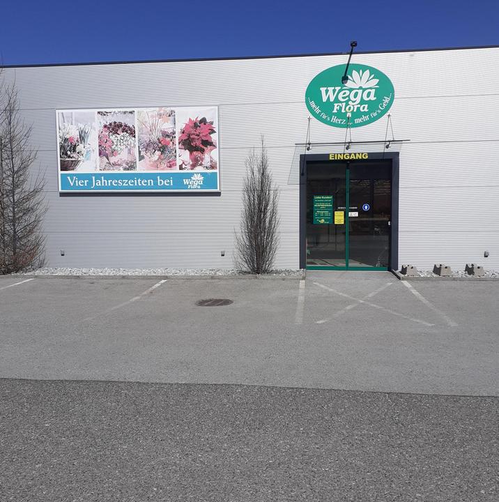 Wega Flora 1