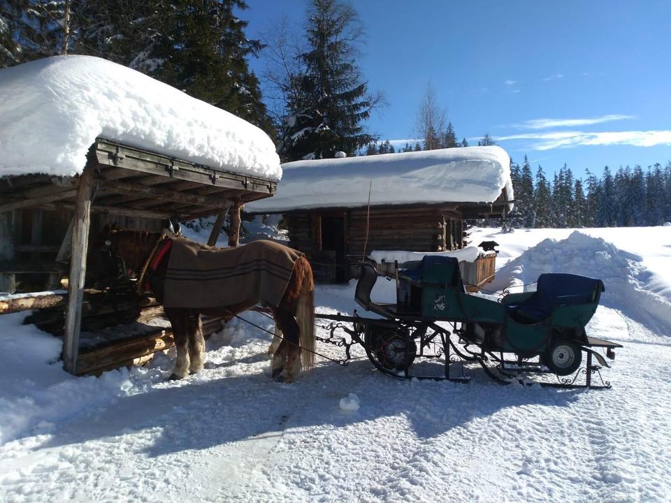 Pferdeschlittenfahrt Ossi Hausberger Winter