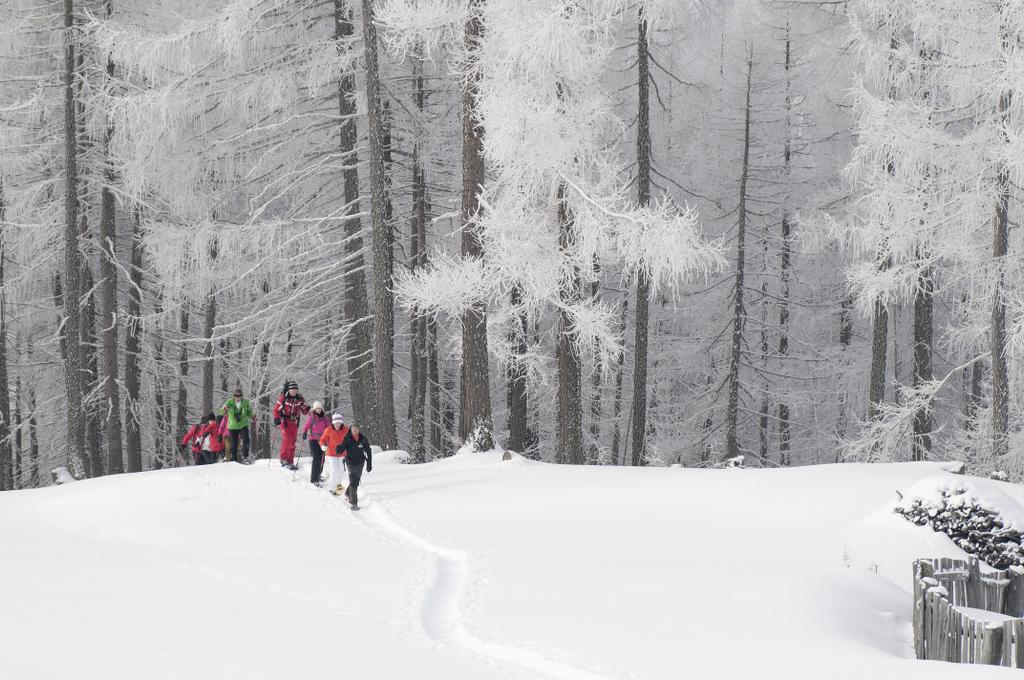 Winterwandern Apriacher Alm
