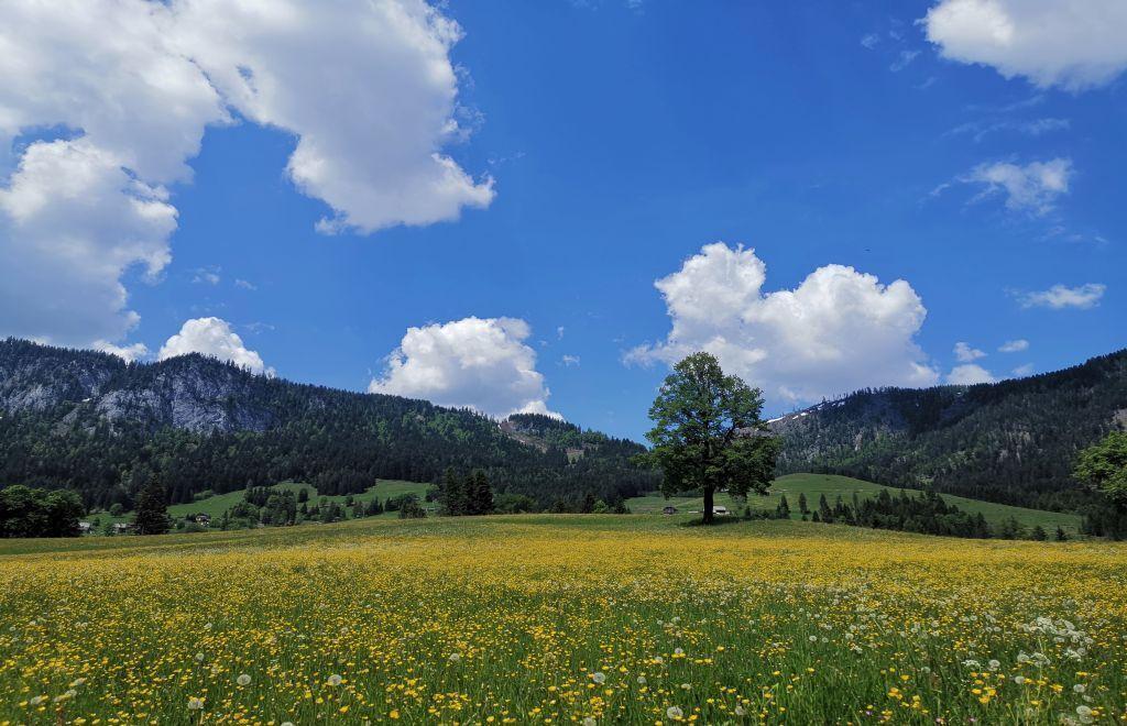 Blick Richtung Tauplitzalm