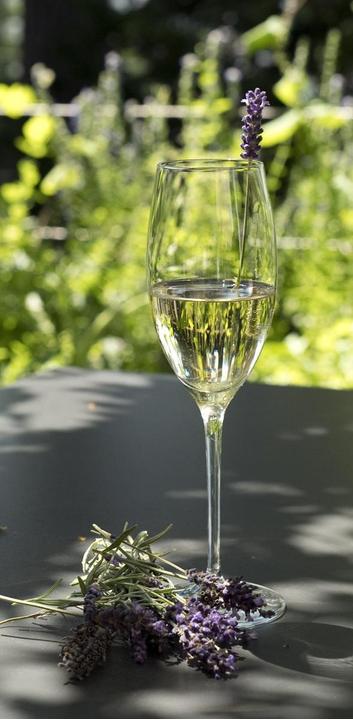 Kräuterprosecco