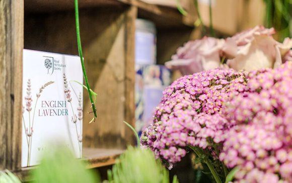 Blumen Lehner
