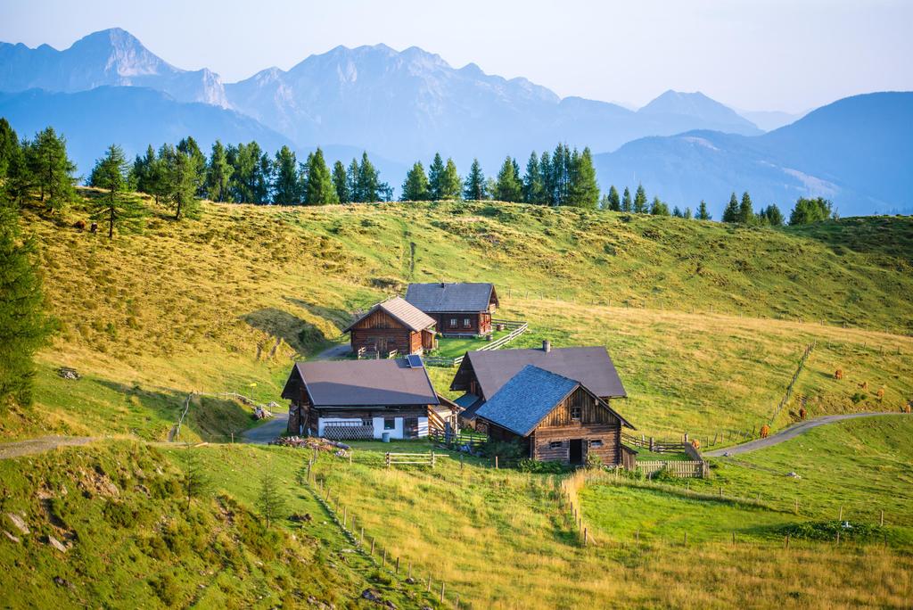 lackenalmen-ferne-wiese-sommer