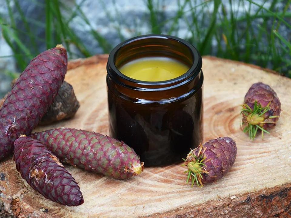 Fichtenzapfenbalsam