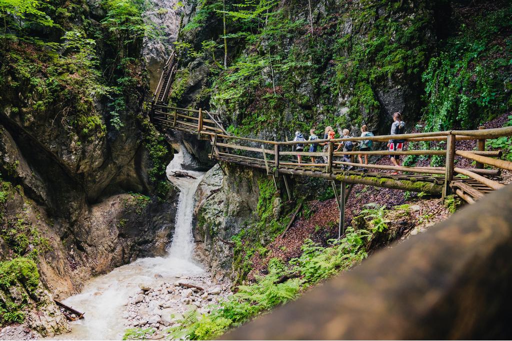 Dr. Vogelgesang Klamm