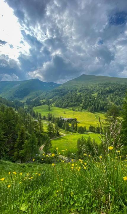 Wansingalm im Sommer