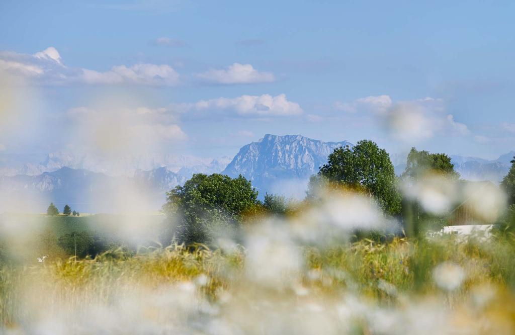 mathiasnhof_urlaub_traunstein