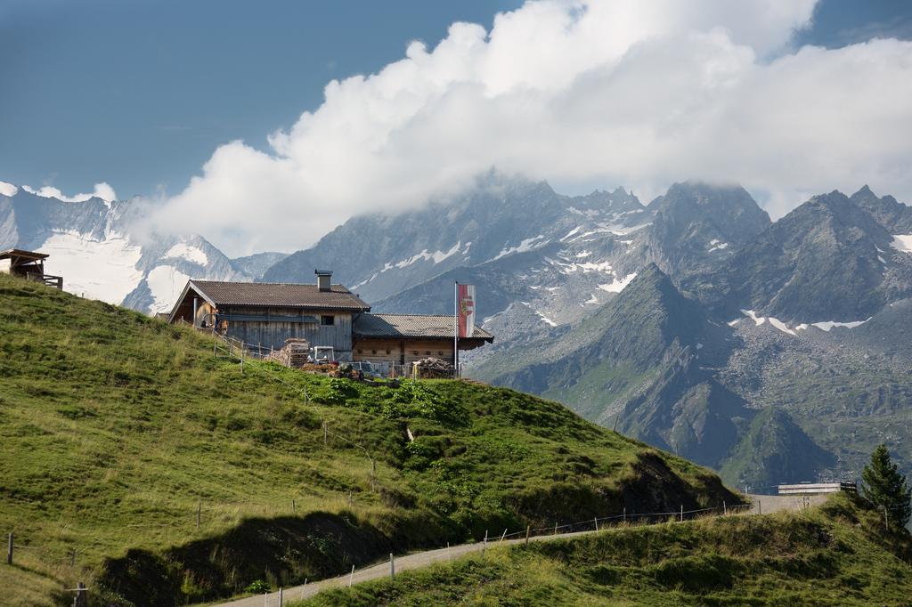 Gletscherblick Alm