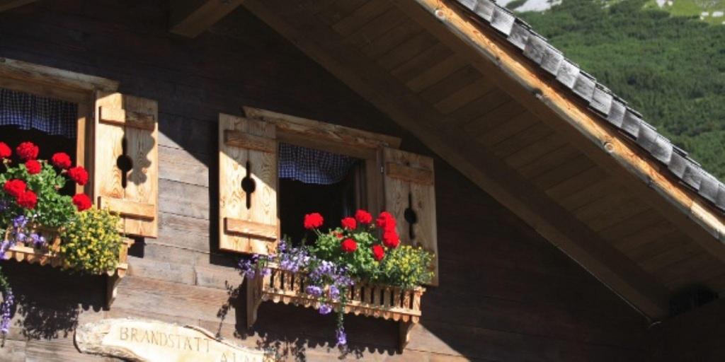 Brandstättalm
