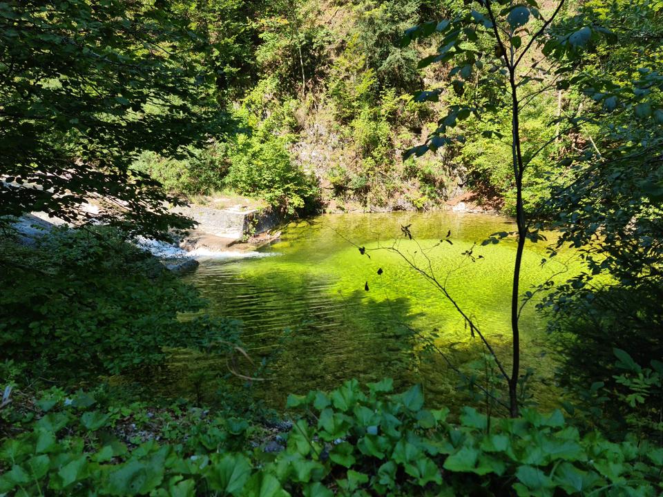 Vorder- und Hinterrinnbachtal (22)