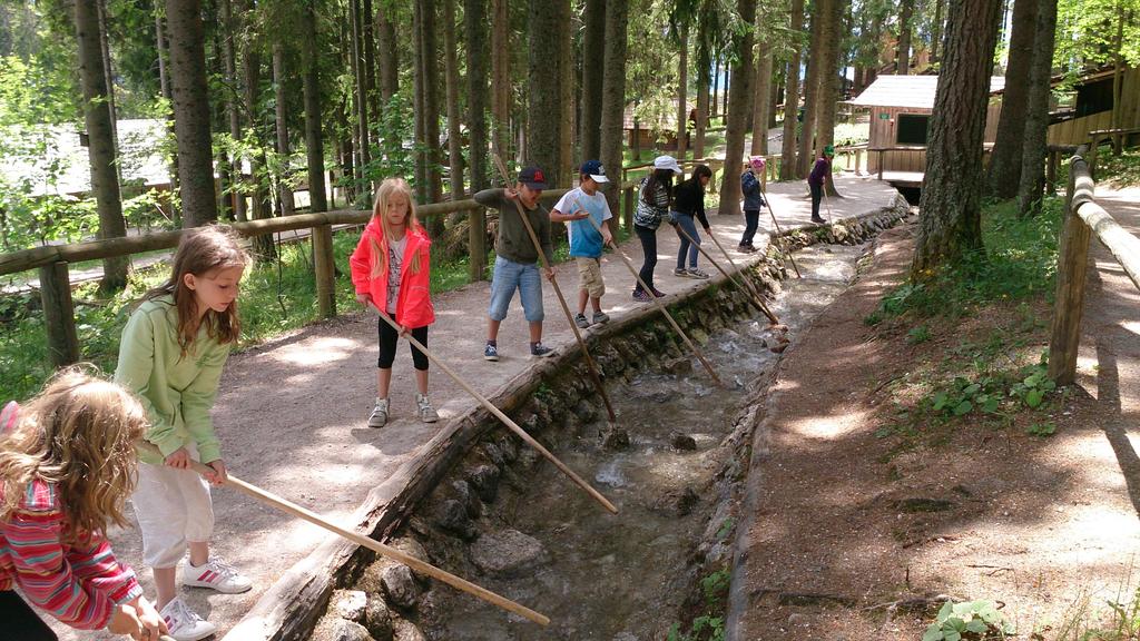 Holzknechtland auf der Mariazeller Bürgeralpe