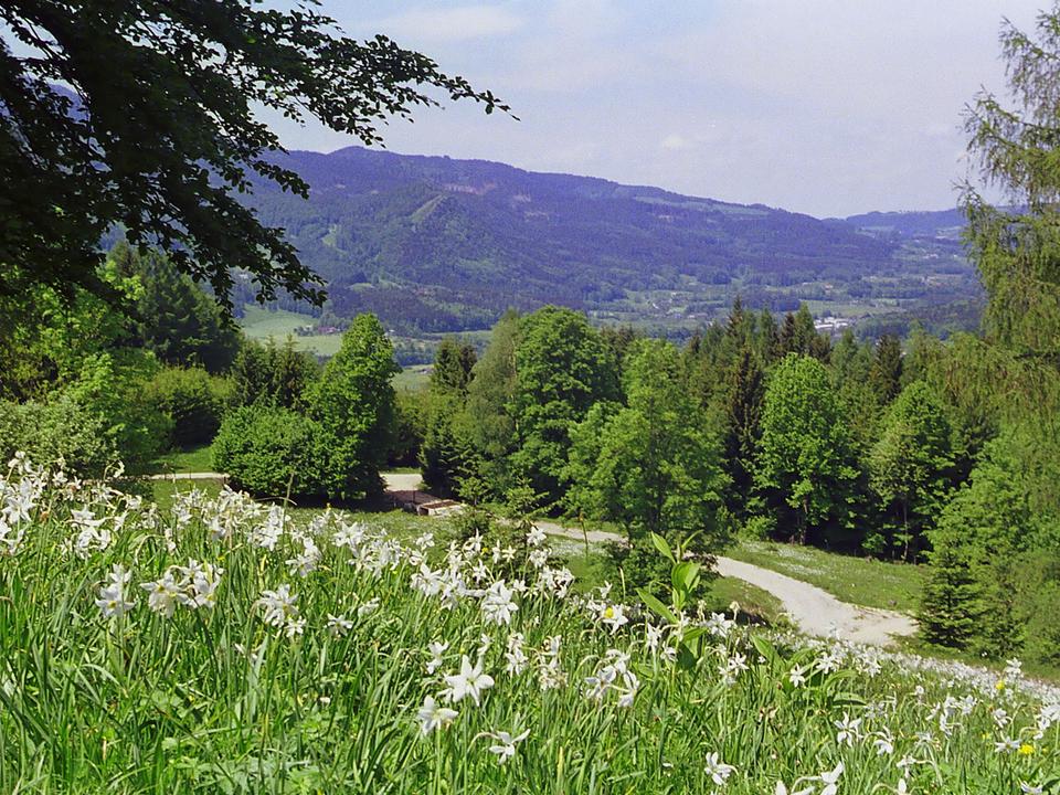 Irrer-Alm-Grünau-im-Almtal