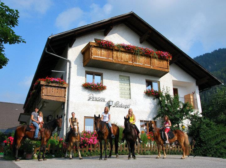 Saukogel