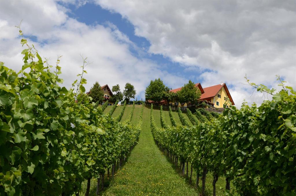 Weingut Fellner Weingarten