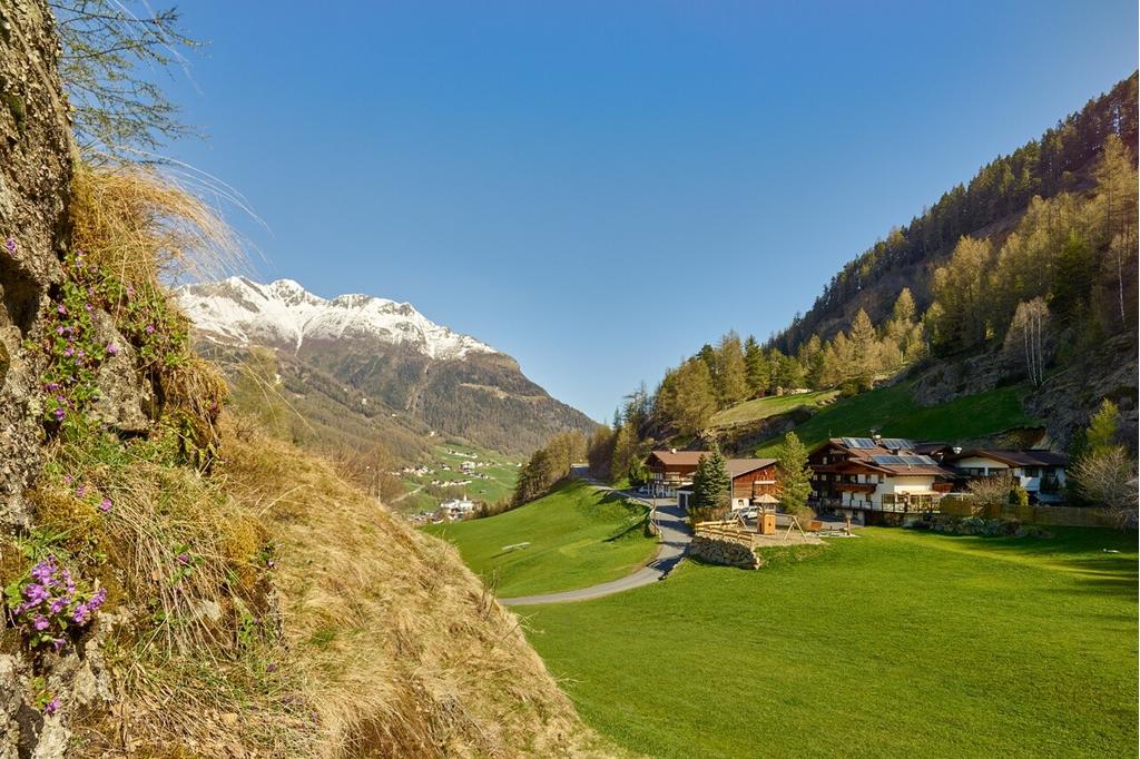 Moosalm Sommer