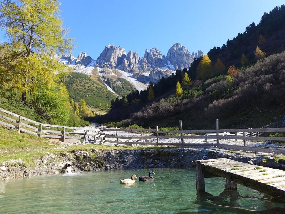 HEIDI Foto Idyllisches Senderstal.jpg