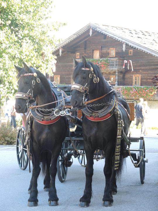 Kutschenfahrt