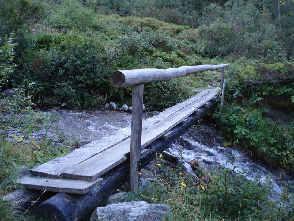 sommerbergalm_waldeben_hintertux 0
