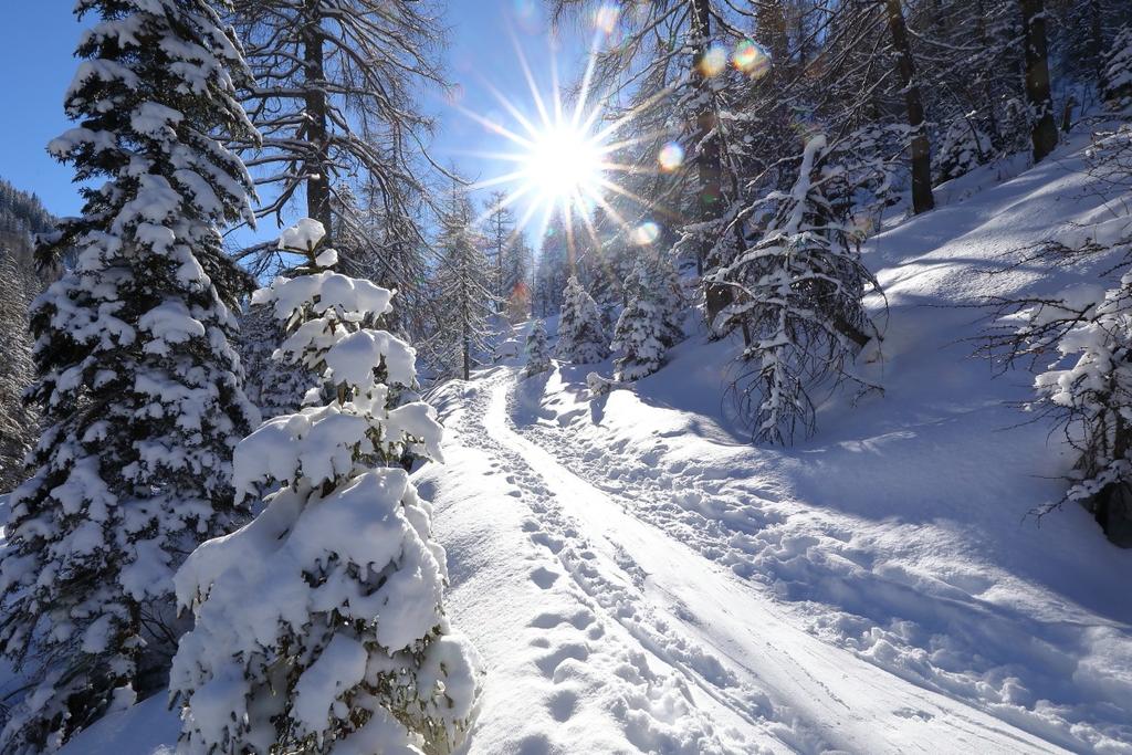 Winterlandschaft