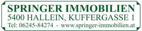 Springer Immobilien