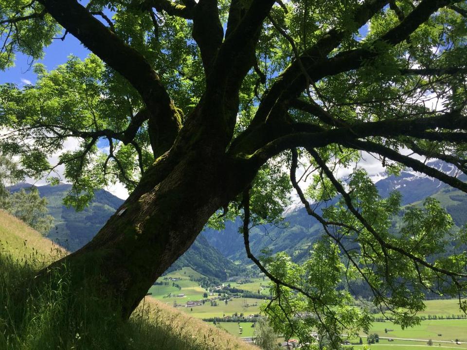 Blick ins Stubachtal