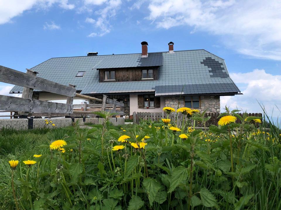 Tröpolacher ALm NEU - 4