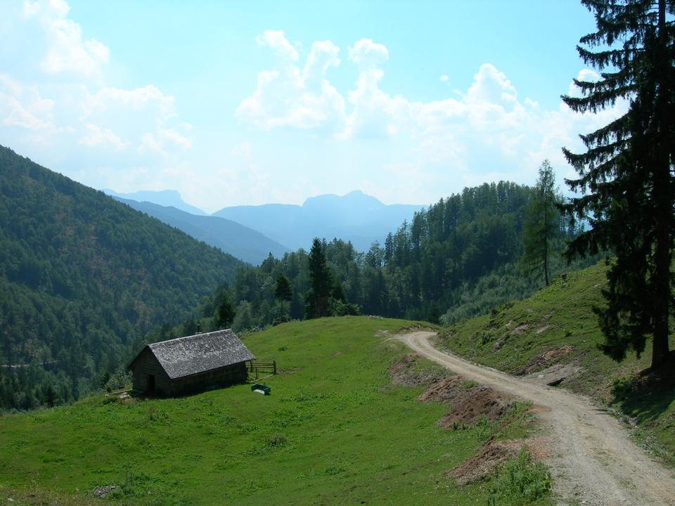 Saiherbachalm