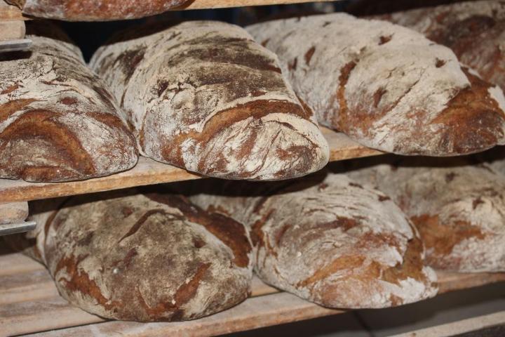Bäckerei-Bitesnich
