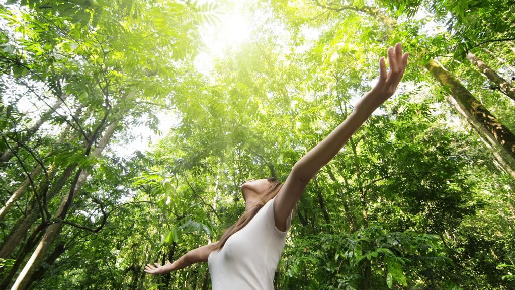 Symbolfoto - Yoga