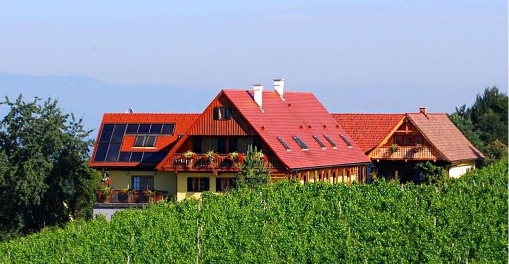 Weingut - Winzerzimmer - Buschenschank Rothschädl
